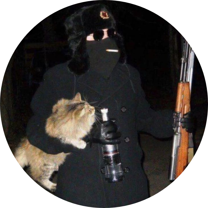 An image of a man in a ushanka, wearing sunglasses and a mask while smoking and holding a gun and a cat